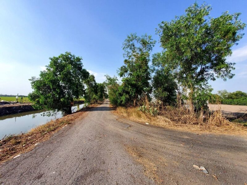 ขายที่ดินคลองห้า 2 ไร่ แปลงมุม ถมแล้ว ติดถนนคอนกรีต ซ.กลั่นกรอง อ.คลองหลวง จ.ปทุมธานี
