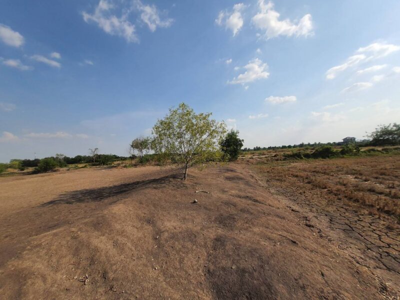 ขายด่วนที่ดินคลองห้า 1 ไร่ ถมแล้วทั้งแปลง ติดถนนคอนกรีต ซ.กลั่นกรอง อ.คลองหลวง จ.ปทุมธานี