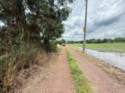 ขายด่วนที่ดินถมแล้ว 200 ตรว ถมแล้วทั้งแปลง สูงกว่าถนน ซ.คลองห้าตะวันตก 19 อ.คลองหลวง จ.ปทุมธานี