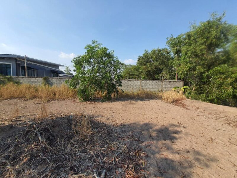 ขายด่วนที่ดินคลองห้า 1 ไร่ ถมแล้วทั้งแปลง ติดถนนคอนกรีต ซ.กลั่นกรอง อ.คลองหลวง จ.ปทุมธานี