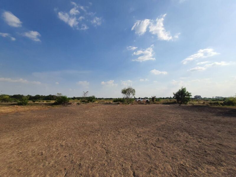 ขายด่วนที่ดินคลองห้า 1 ไร่ ถมแล้วทั้งแปลง ติดถนนคอนกรีต ซ.กลั่นกรอง อ.คลองหลวง จ.ปทุมธานี