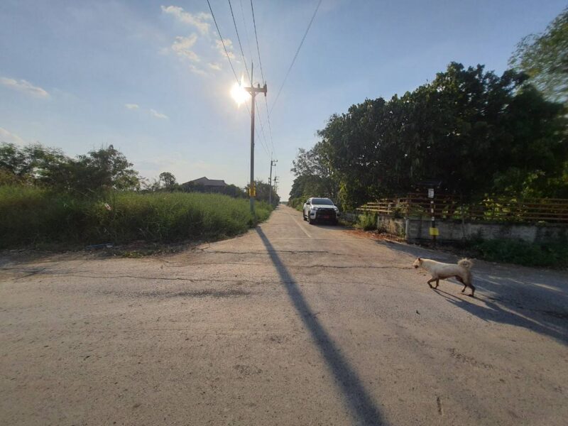 ขายด่วนที่ดินคลองห้า 1 ไร่ ถมแล้วทั้งแปลง ติดถนนคอนกรีต ซ.กลั่นกรอง อ.คลองหลวง จ.ปทุมธานี