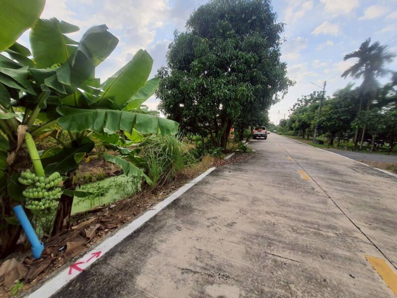 ขายด่วนที่ดินคลองห้า 200 ตรว ติดถนนคอนกรีตสาธารณะ ซ.คลองห้า ตต.57 อ.คลองหลวง จ.ปทุมธานี