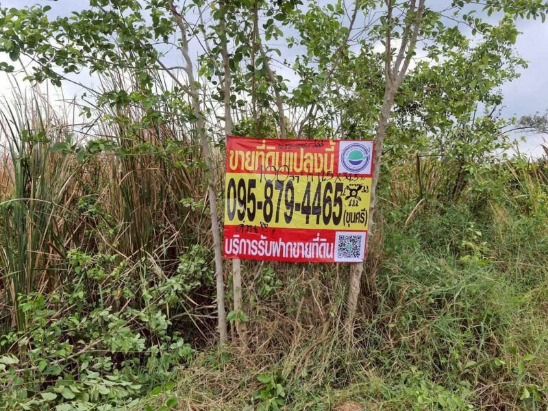 ขายถูกที่สุดที่ดินทำเลดี 100 ตรว ติดถนนสาธารณะ ซ.คลองห้าตะวันออก 3 อ.คลองหลวง จ.ปทุมธานี