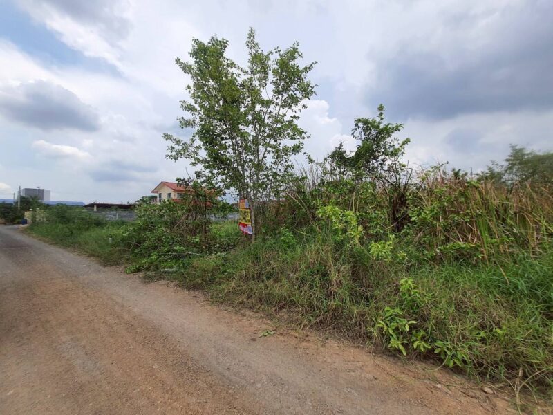 ขายถูกที่สุดที่ดินทำเลดี 100 ตรว ติดถนนสาธารณะ ซ.คลองห้าตะวันออก 3 อ.คลองหลวง จ.ปทุมธานี