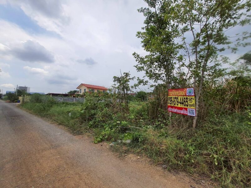 ขายถูกที่สุดที่ดินทำเลดี 100 ตรว ติดถนนสาธารณะ ซ.คลองห้าตะวันออก 3 อ.คลองหลวง จ.ปทุมธานี