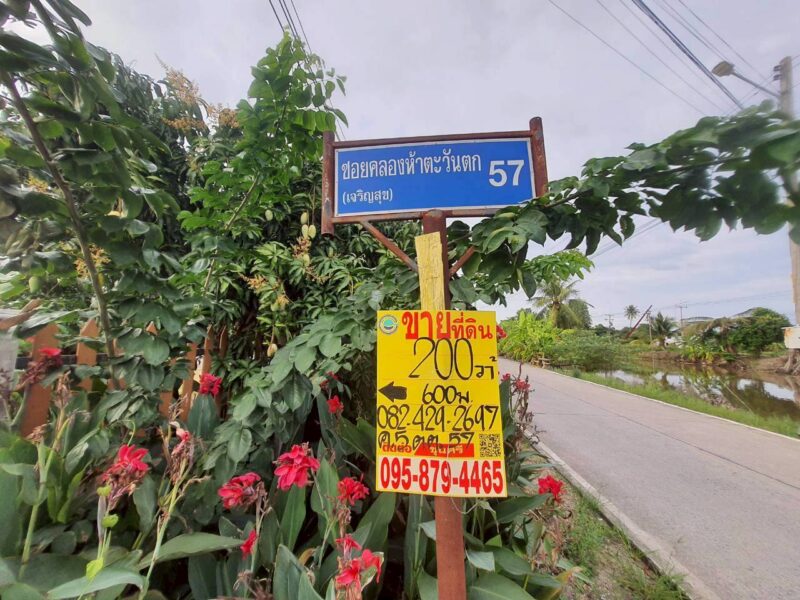 ขายด่วนที่ดินคลองห้า 200 ตรว ติดถนนคอนกรีตสาธารณะ ซ.คลองห้า ตต.57 อ.คลองหลวง จ.ปทุมธานี