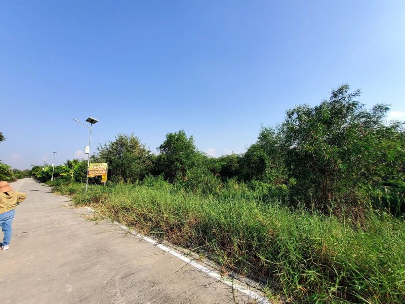 ขายด่วนที่ดินถนนฤชุพันธุ์ 568 ตรว ติดถนนคอนกรีตสาธารณะ ซ.ฤชุพันธุ์ 4 อ.ไทรน้อย จ.นนทบุรี