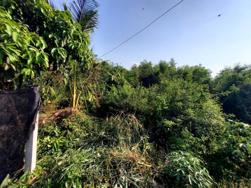 ขายด่วนที่ดินถนนฤชุพันธุ์ 568 ตรว ติดถนนคอนกรีตสาธารณะ ซ.ฤชุพันธุ์ 4 อ.ไทรน้อย จ.นนทบุรี