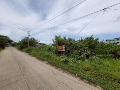 ขายด่วน ที่ดินใกล้ตลาดไท 403 ตรว ติดถนนคอนกรีตสาธารณะ 2 ด้าน ซ.ไอยรา 18,19 อ.คลองหลวง จ.ปทุมธานี