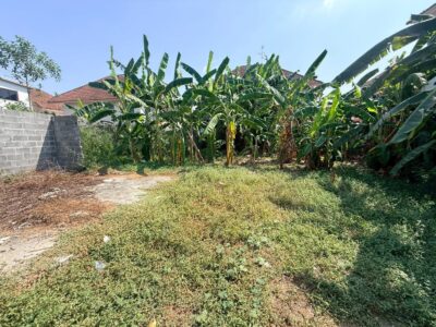 ขายถูกที่ดินลาดสวาย 124 ตรว ติดถนนคอนกรีตสาธารณะ ถมแล้ว ซ.ร่วมสุข 3 อ.ลำลูกกา จ.ปทุมธานี 0