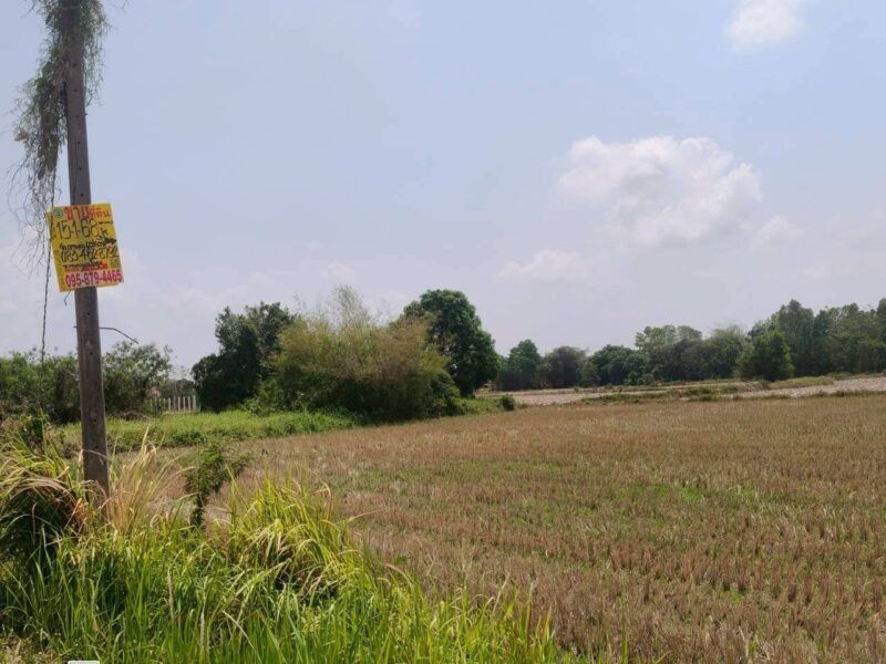ขายด่วนที่ดิน 15-1-68 ไร่ ติดถนนสาธารณะ ต.เขาพระ อ.เมืองนครนายก จ.นครนายก