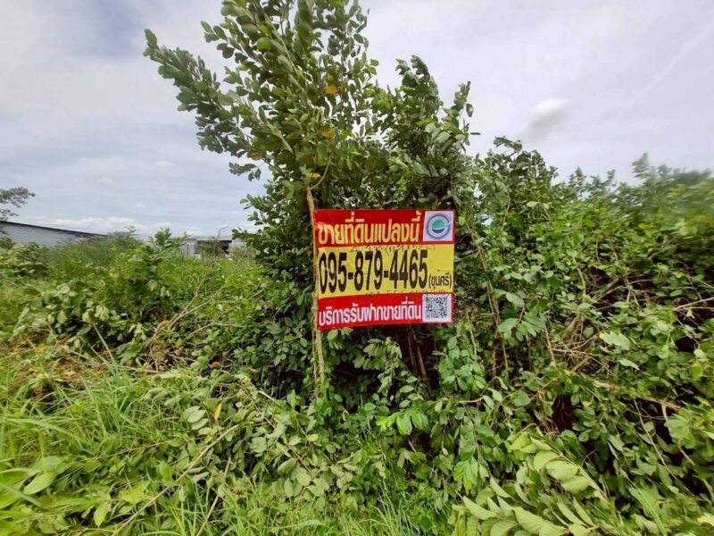 ขายด่วน ที่ดินใกล้ตลาดไท 403 ตรว ติดถนนคอนกรีตสาธารณะ 2 ด้าน ซ.ไอยรา 18,19 อ.คลองหลวง จ.ปทุมธานี