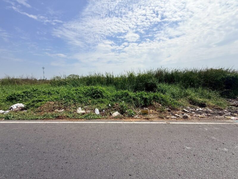 ขายด่วนที่ดิน 286 ตรว ติดถนนเลียบมอเตอร์เวย์ ต.คลองสี่ อ.คลองหลวง จ.ปทุมธานี