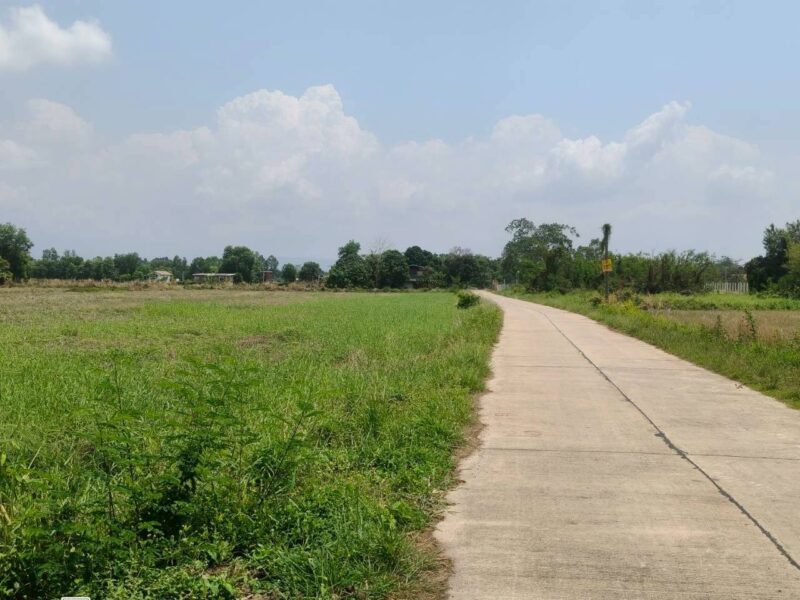 ขายด่วนที่ดิน 15-1-68 ไร่ ติดถนนสาธารณะ ต.เขาพระ อ.เมืองนครนายก จ.นครนายก