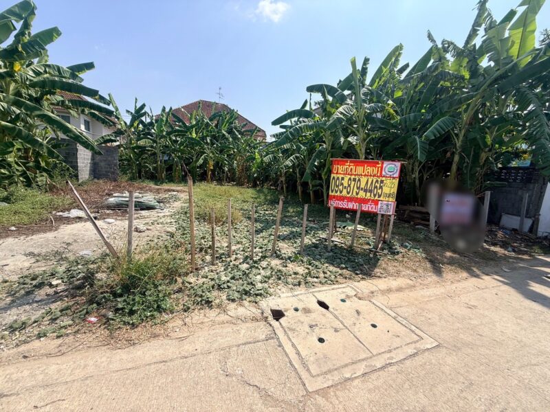 ขายถูกที่ดินลาดสวาย 124 ตรว ติดถนนคอนกรีตสาธารณะ ถมแล้ว ซ.ร่วมสุข 3 อ.ลำลูกกา จ.ปทุมธานี 0