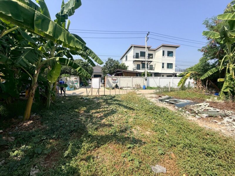 ขายถูกที่ดินลาดสวาย 124 ตรว ติดถนนคอนกรีตสาธารณะ ถมแล้ว ซ.ร่วมสุข 3 อ.ลำลูกกา จ.ปทุมธานี 0