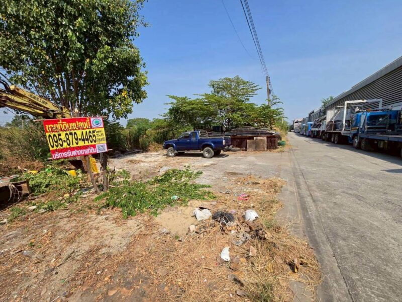 ขายด่วน ที่ดินใกล้ตลาดไท 403 ตรว ติดถนนคอนกรีตสาธารณะ 2 ด้าน ซ.ไอยรา 18,19 อ.คลองหลวง จ.ปทุมธานี