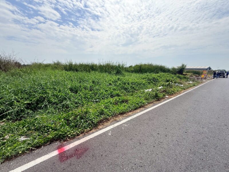 ขายด่วนที่ดิน 286 ตรว ติดถนนเลียบมอเตอร์เวย์ ต.คลองสี่ อ.คลองหลวง จ.ปทุมธานี