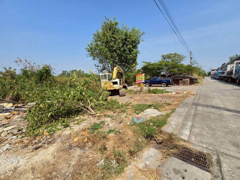 ขายด่วน ที่ดินใกล้ตลาดไท 403 ตรว ติดถนนคอนกรีตสาธารณะ 2 ด้าน ซ.ไอยรา 18,19 อ.คลองหลวง จ.ปทุมธานี