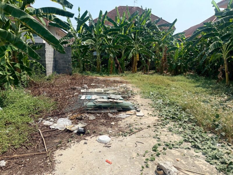 ขายถูกที่ดินลาดสวาย 124 ตรว ติดถนนคอนกรีตสาธารณะ ถมแล้ว ซ.ร่วมสุข 3 อ.ลำลูกกา จ.ปทุมธานี 0