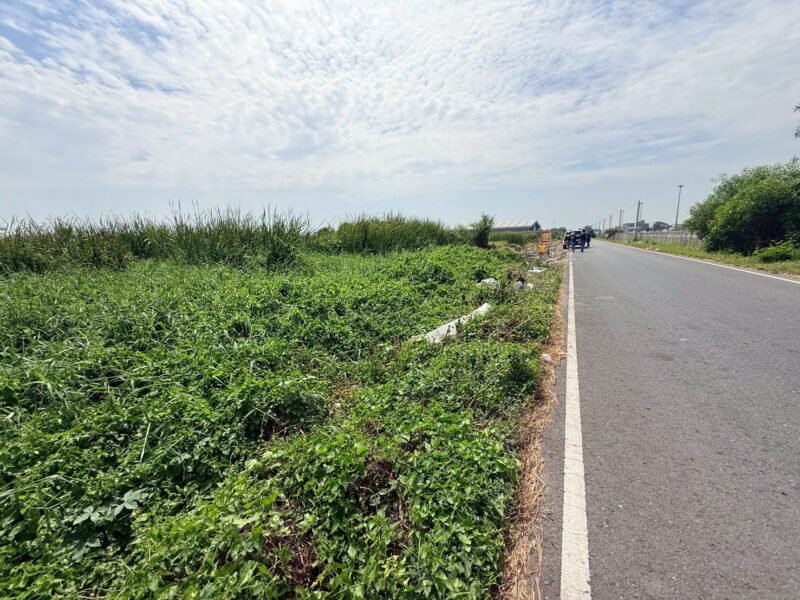 ขายด่วนที่ดิน 286 ตรว ติดถนนเลียบมอเตอร์เวย์ ต.คลองสี่ อ.คลองหลวง จ.ปทุมธานี