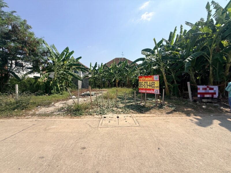 ขายถูกที่ดินลาดสวาย 124 ตรว ติดถนนคอนกรีตสาธารณะ ถมแล้ว ซ.ร่วมสุข 3 อ.ลำลูกกา จ.ปทุมธานี 0