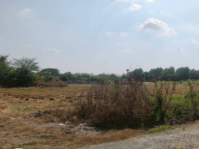 ขายที่ดินใกล้ราชภัฎสวนสุนันทา 947 ตรว ติดด่วน M81 ต.คลองโยง อ.พุทธมณฑล.นครปฐม