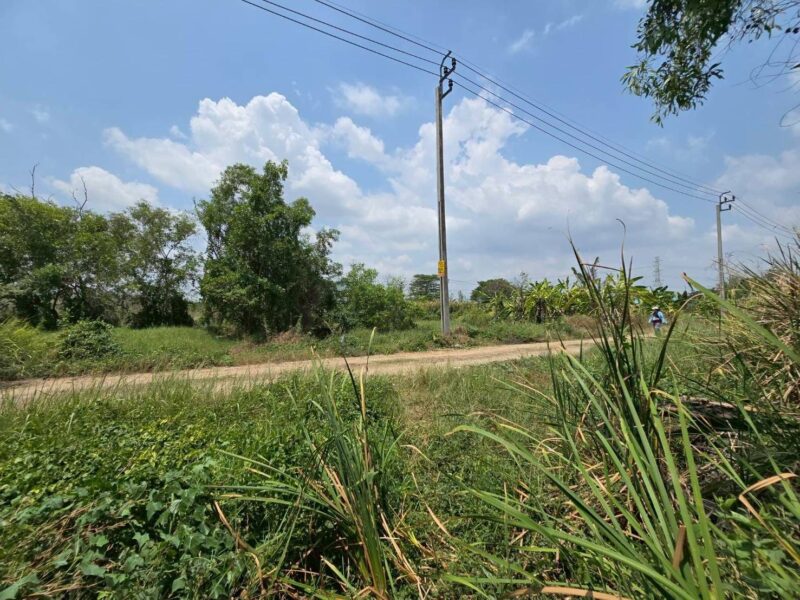 ขายที่ดิน 87 ตรว ติดถนนสาธารณะ แปลงมุม ประชาสำราญ แขวงคลองสิบสอง เขตหนองจอก กทม.