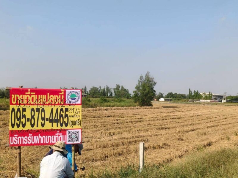 ขายที่ดินใกล้ราชภัฏสวนสุนันทา 317 ตรว ติดถนนสาธารณะ ต.คลองโยง อ.พุทธมณฑล จ.นครปฐม