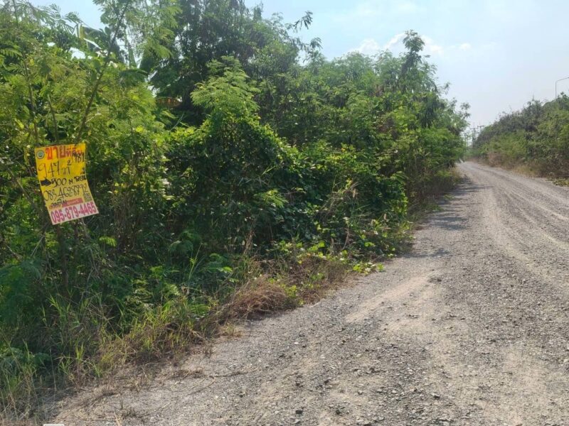 ขายที่ดินใกล้ราชภัฎสวนสุนันทา 947 ตรว ติดด่วน M81 ต.คลองโยง อ.พุทธมณฑล.นครปฐม