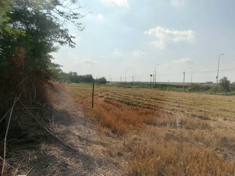 ขายที่ดินใกล้ราชภัฎสวนสุนันทา 947 ตรว ติดด่วน M81 ต.คลองโยง อ.พุทธมณฑล.นครปฐม