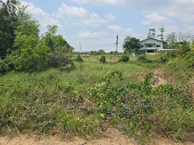 ขายที่ดิน 87 ตรว ติดถนนสาธารณะ แปลงมุม ประชาสำราญ แขวงคลองสิบสอง เขตหนองจอก กทม.