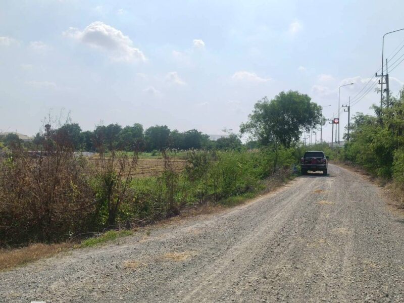 ขายที่ดินใกล้ราชภัฎสวนสุนันทา 947 ตรว ติดด่วน M81 ต.คลองโยง อ.พุทธมณฑล.นครปฐม