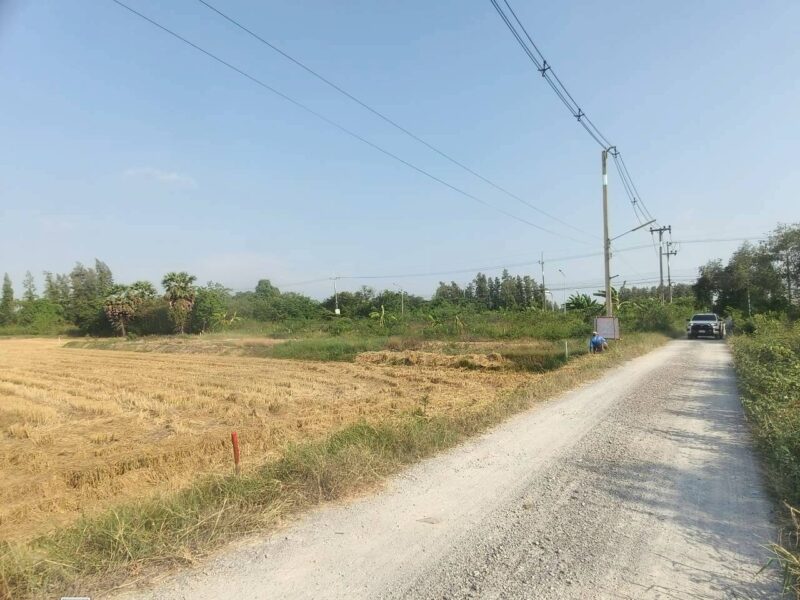 ขายที่ดินใกล้ราชภัฏสวนสุนันทา 317 ตรว ติดถนนสาธารณะ ต.คลองโยง อ.พุทธมณฑล จ.นครปฐม