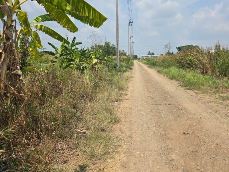 ขายที่ดิน 87 ตรว ติดถนนสาธารณะ แปลงมุม ประชาสำราญ แขวงคลองสิบสอง เขตหนองจอก กทม.