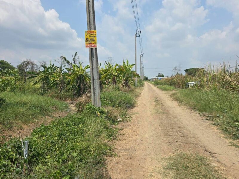 ขายที่ดิน 87 ตรว ติดถนนสาธารณะ แปลงมุม ประชาสำราญ แขวงคลองสิบสอง เขตหนองจอก กทม.