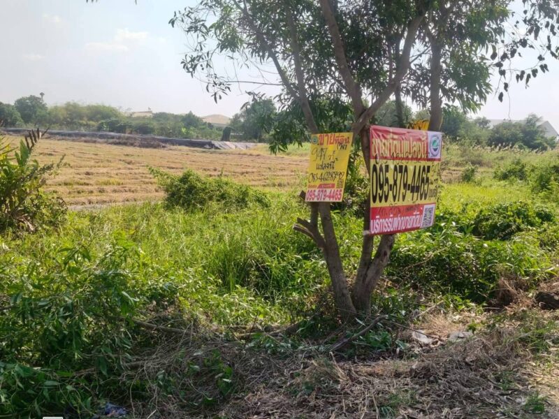 ขายที่ดินใกล้ราชภัฎสวนสุนันทา 947 ตรว ติดด่วน M81 ต.คลองโยง อ.พุทธมณฑล.นครปฐม