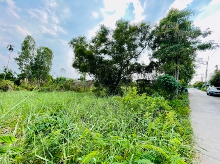 [ให้เช่า] ที่ดินทำเลทอง คลองห้าตะวันออก (ซอยจำรัส) 380 ตร.ว. หน้ากว้าง 45 เมตร เข้าซอยเพียง 80 ม. เหมาะทำโกดัง-อู่รถ เพียง 1x,000 บาท-ด.