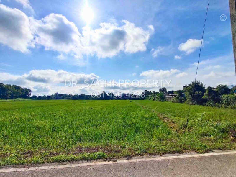 #ขายที่ดินสวยเชียงราย ทำเลดี ใกล้ ถ.บายพาสตะวันออก เพียง 1 กม. สนามบินเชียงราย (13-2-50.3 ไร่)