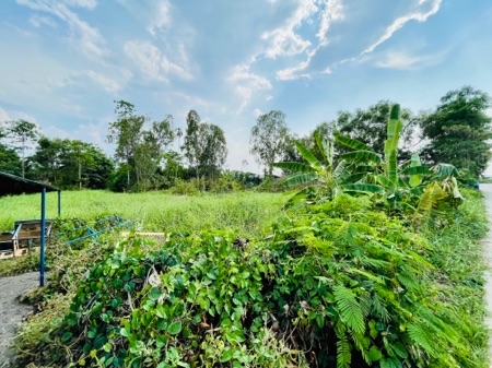 [ให้เช่า] ที่ดินทำเลทอง คลองห้าตะวันออก (ซอยจำรัส) 380 ตร.ว. หน้ากว้าง 45 เมตร เข้าซอยเพียง 80 ม. เหมาะทำโกดัง-อู่รถ เพียง 1x,000 บาท-ด.