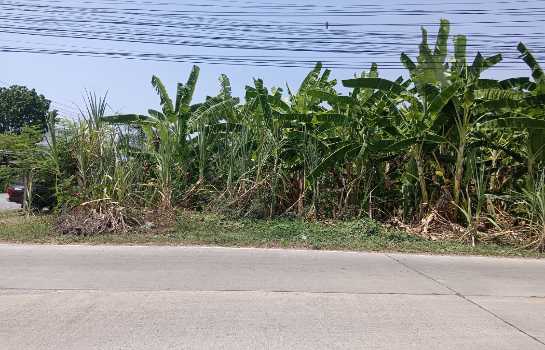 ขายที่ดินขนาด 111 ตร.ว. ติดถนนซอยเลียบคลองโยง ทำเลศาลายา อ.พุทธมณฑล จ.นครปฐม