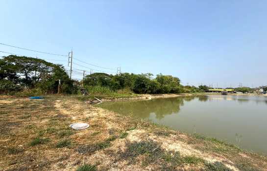 ขาย ที่ดิน ME401 EEC สีม่วงลาย ติดนิคม อมตะชลบุรี บ้านเก่า พานทอง ชลบุรี . 20 ไร่ 1 งาน 72.3 ตรว ทำเลดี แปลงสี่เหลี่ยมสวย แบ่งขายได้ เช่าได้