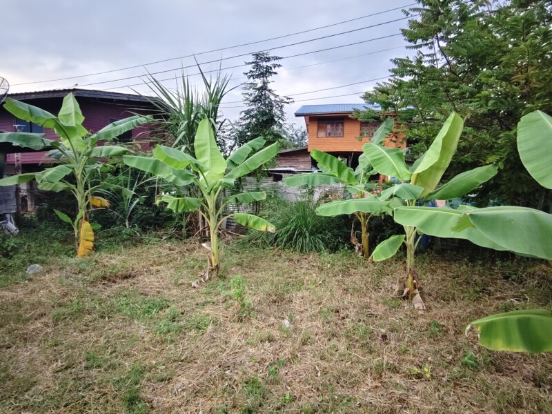 โอกาสดี! ที่ดินริมน้ำ 129 ตร.ว. เหมาะสร้างบ้านพัก ราคา 900,000 บาท