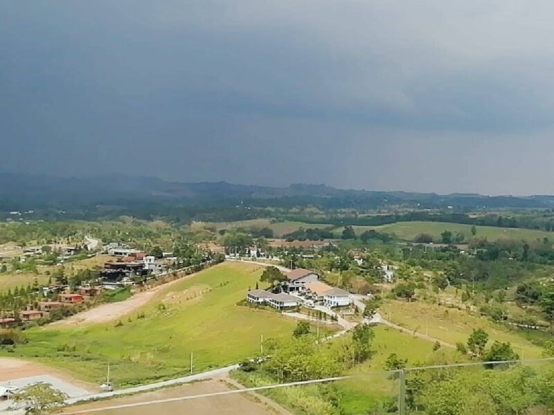 ดวงจิต ทวีเดชมงคล
