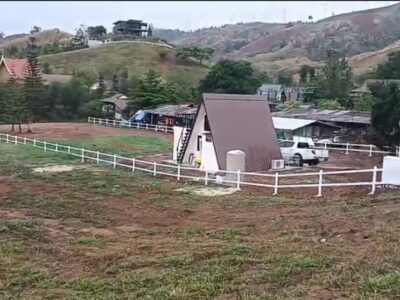 ดวงจิต ทวีเดชมงคล