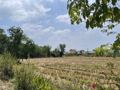 ที่ดินหนองจอกบางน้ำเปรี้ยว จำนวน 1ไร่ 1งาน 76 ตารางวา