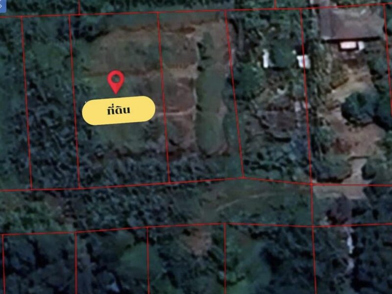 ขายที่ดินเปล่า124ตรว คลองสอง อ.คลองหลวง จ.ปทุมธานี