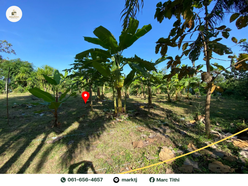 ขายด่วน ที่ดิน พชรบูรณ์ ทำเลสวย บรรยากาศดี ติดถนนสาธารณะ (ลดเหลือ 799,000)