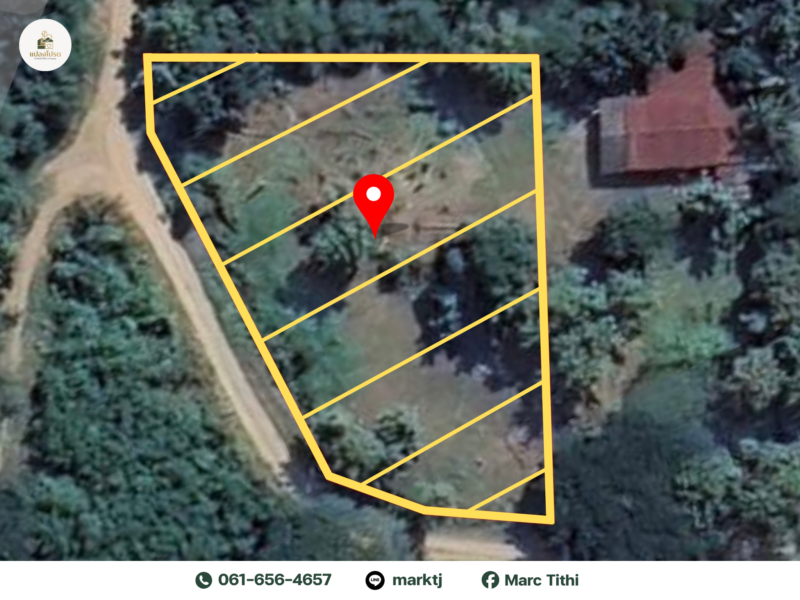 ขายด่วน ที่ดิน พชรบูรณ์ ทำเลสวย บรรยากาศดี ติดถนนสาธารณะ (ลดเหลือ 799,000)